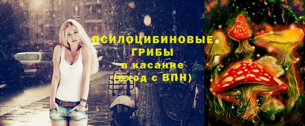 дмт Никольское