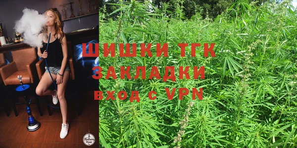ГАЛЛЮЦИНОГЕННЫЕ ГРИБЫ Струнино