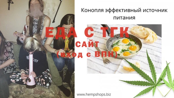 спиды Заводоуковск