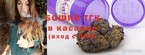 дмт Никольское