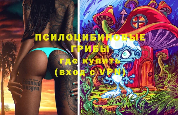 ГАЛЛЮЦИНОГЕННЫЕ ГРИБЫ Струнино