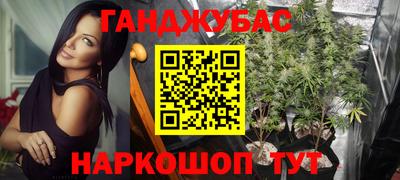 ГАЛЛЮЦИНОГЕННЫЕ ГРИБЫ Свободный
