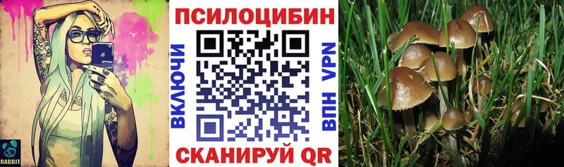 Галлюциногенные грибы GOLDEN TEACHER Слободской