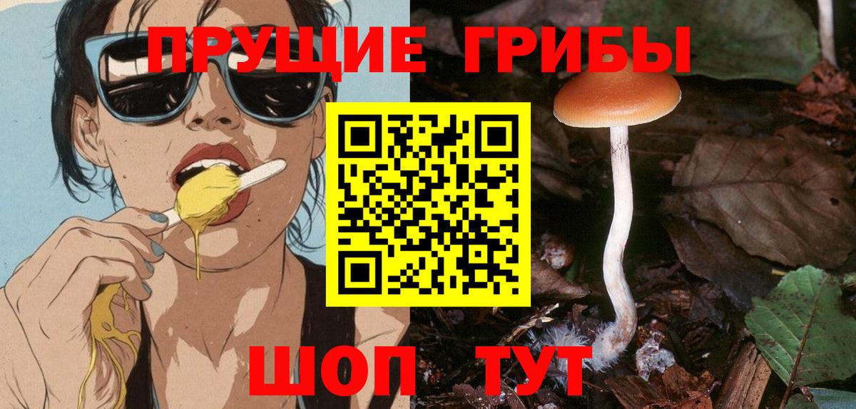 Псилоцибиновые грибы Psilocybine cubensis  что такое   Слободской  Вход с VPN 