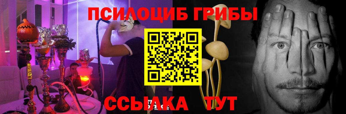 Галлюциногенные грибы прущие грибы Слободской